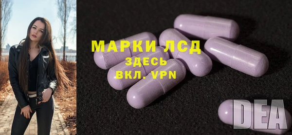 эйфоретик Арсеньев