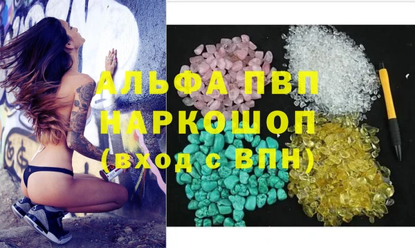 эйфоретик Арсеньев